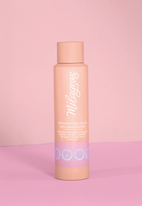 SHAMPOO EN SECO